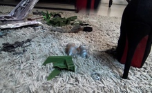 Soldier Toys Crushing By Kirstin