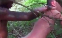 Big Black Cock Breeds White Hole Outdoors